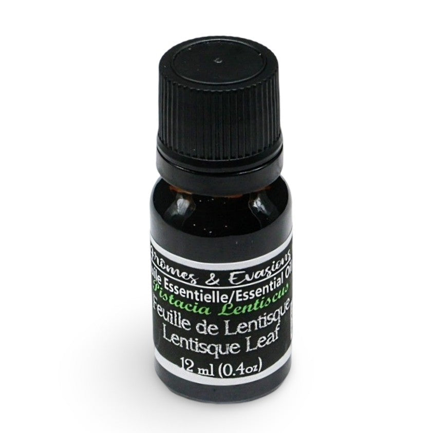 Essential Oil - Lentisque Leaf (Pistacia Lentiscus)