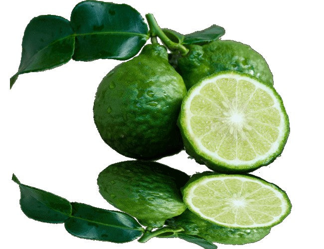 Essential Oil - Bergamot (Citrus Bergamia)