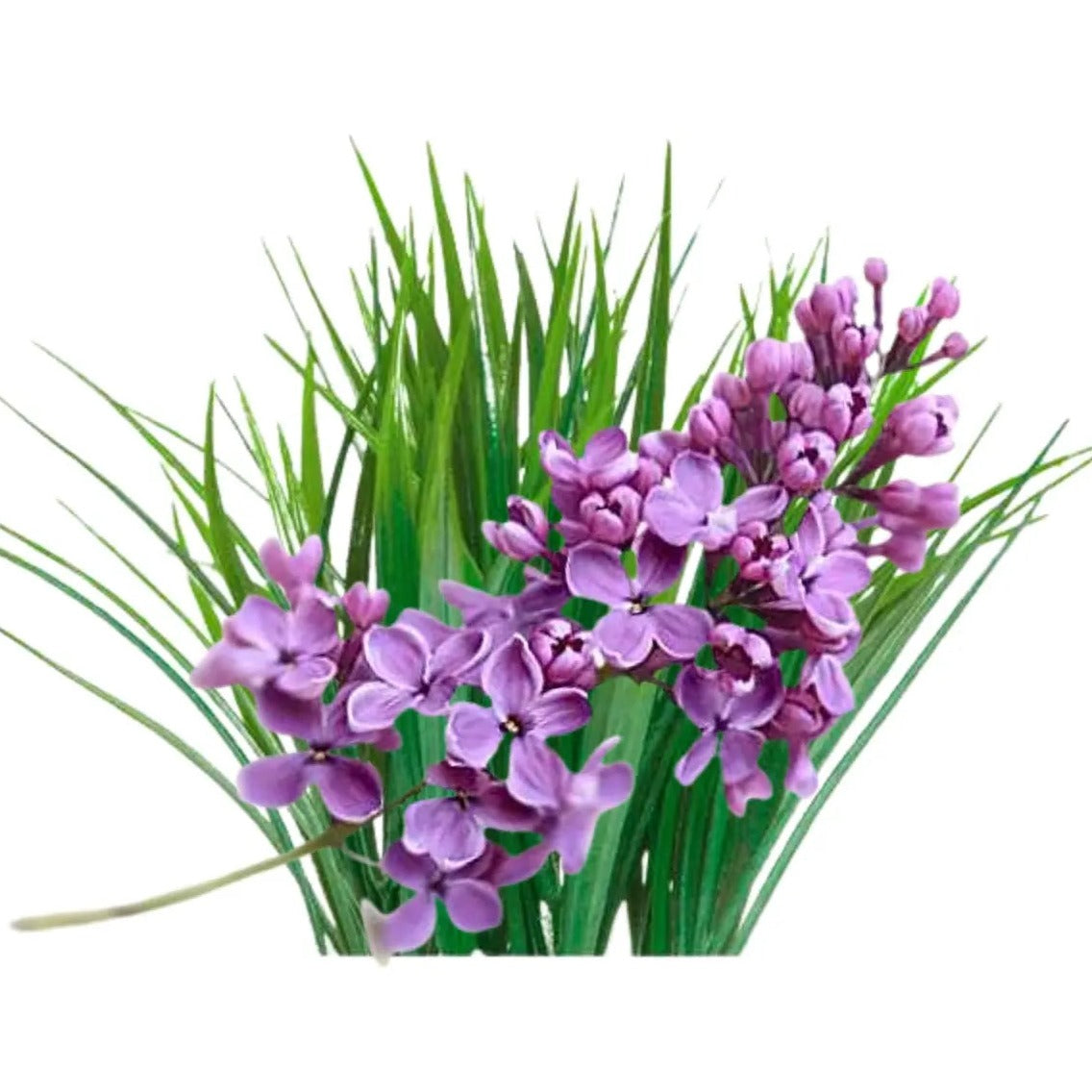 Essential Oil - Blend - Lavender & Vetiver