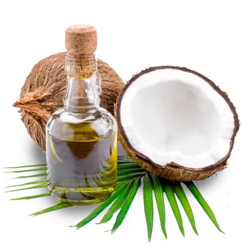 Essential Oil - Coconut (Cocos Nucifera)
