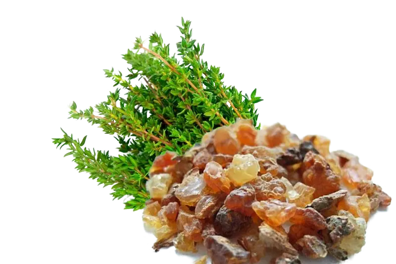 Essential Oil - Myrrh (Commiphora Myrrha)