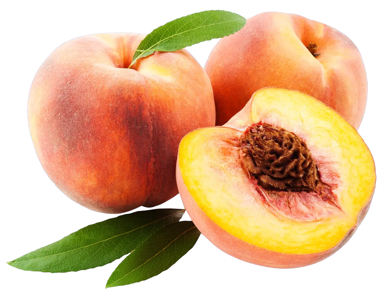 Essential Oil - Peach (Prunus Persica)