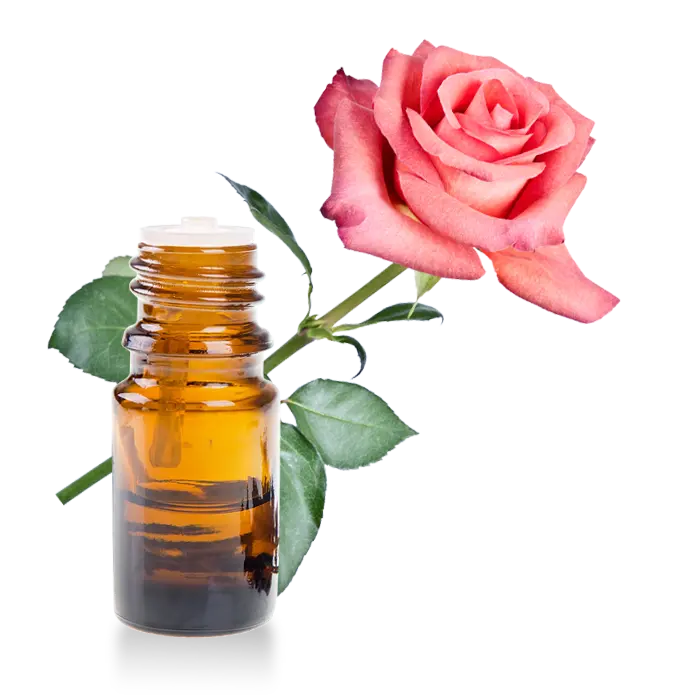 Essential Oil - Damask Rose Absolute (Rosa Damascena)