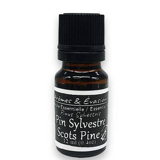 Essential Oil - Scots Pine (Pinus Sylvestris)