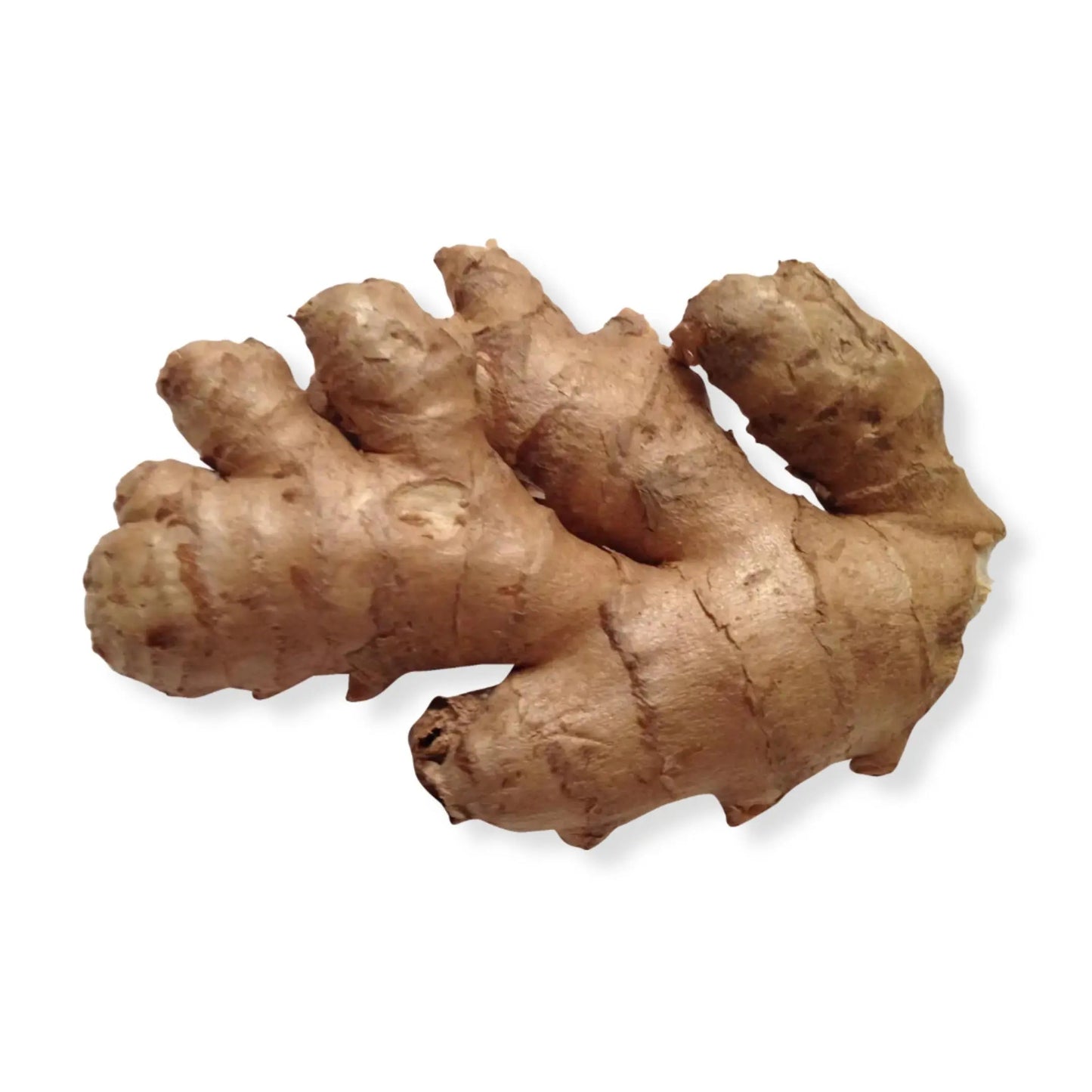 Essential Oil - Ginger (Zingiber Officinale)