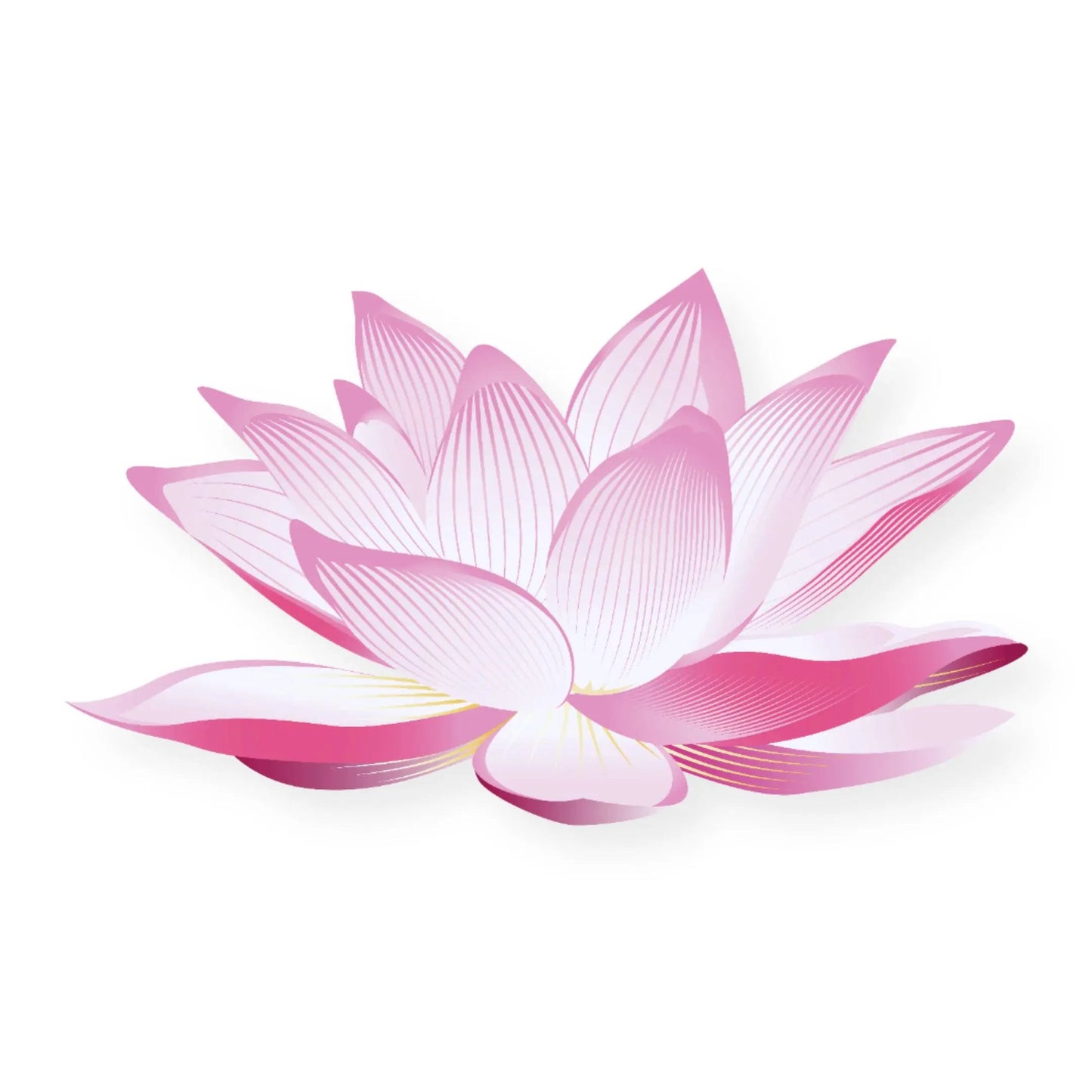Essential Oil - Pink Lotus Absolute (Nelumbo Nucifera)