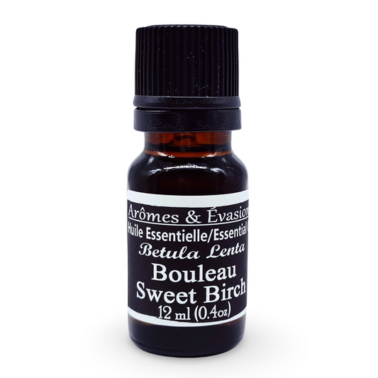 Essential Oil - Sweet Birch (Betula Lenta)