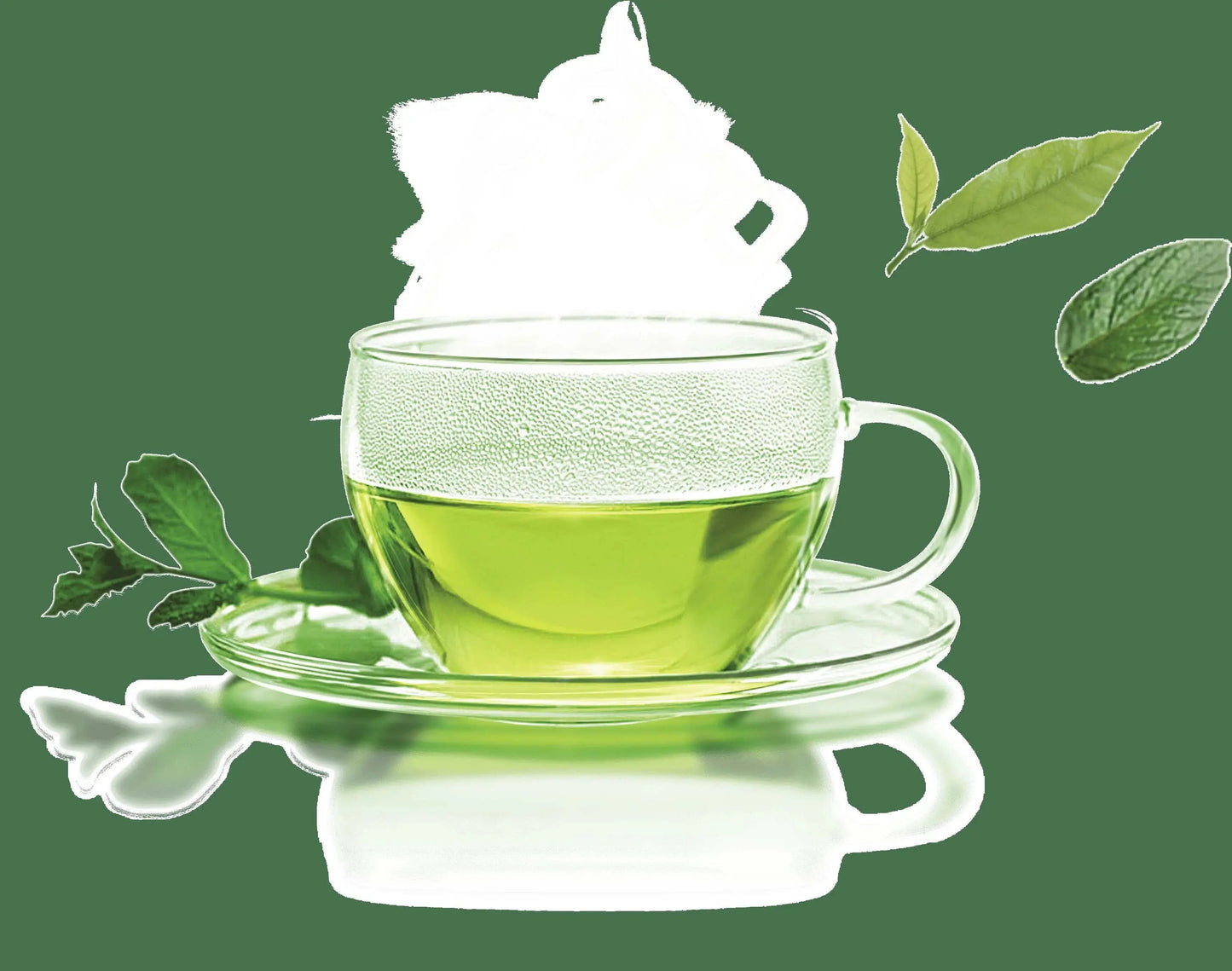 Fragrance Oil - Green Tea