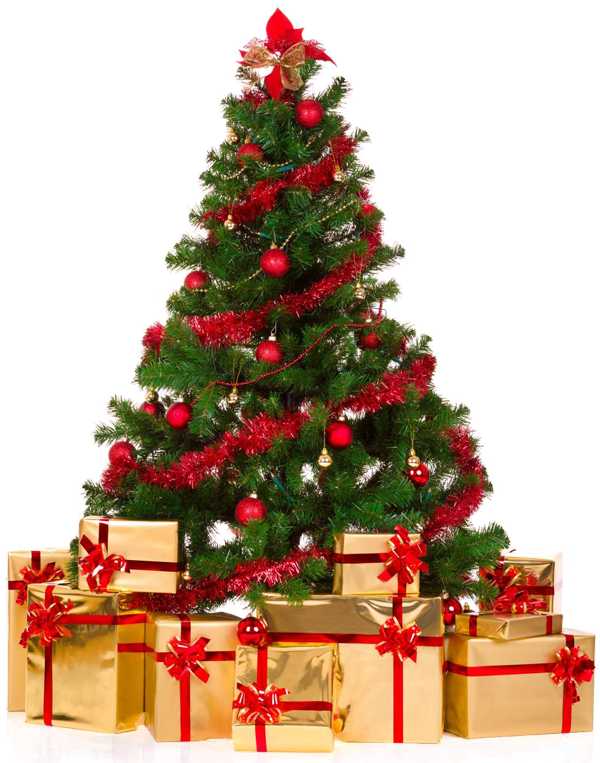 Fragrance Oil - Old Fashioned Christmas