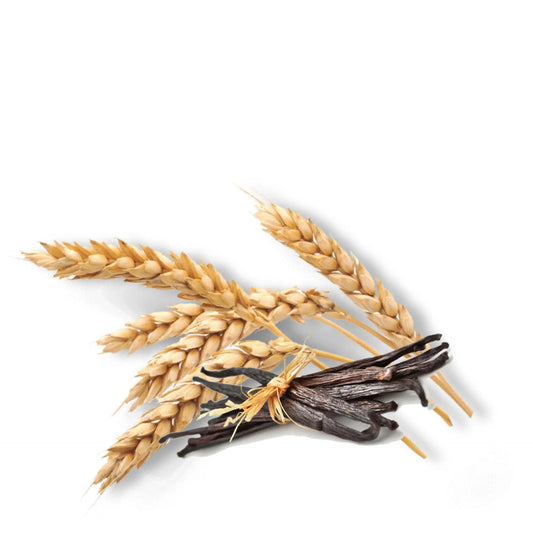 Fragrance Oil - Vanilla Oatmeal