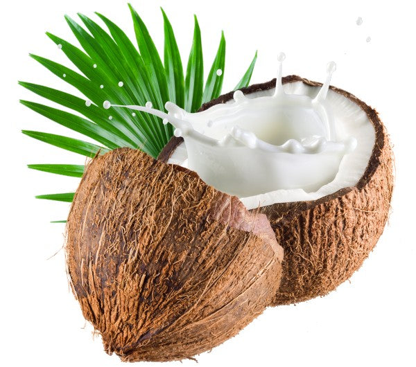 Incense Sticks - Coconut - Pack of 10