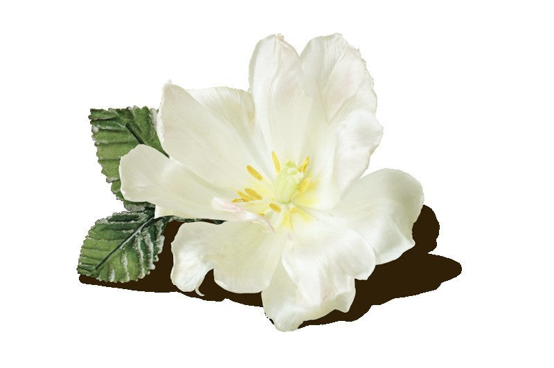 Incense Sticks - Premium Collection - Musk - Pack of 5 Masala Sticks