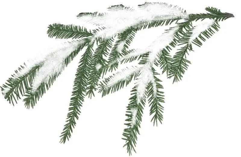 Incense Sticks - Snow Sage - Pack of 10