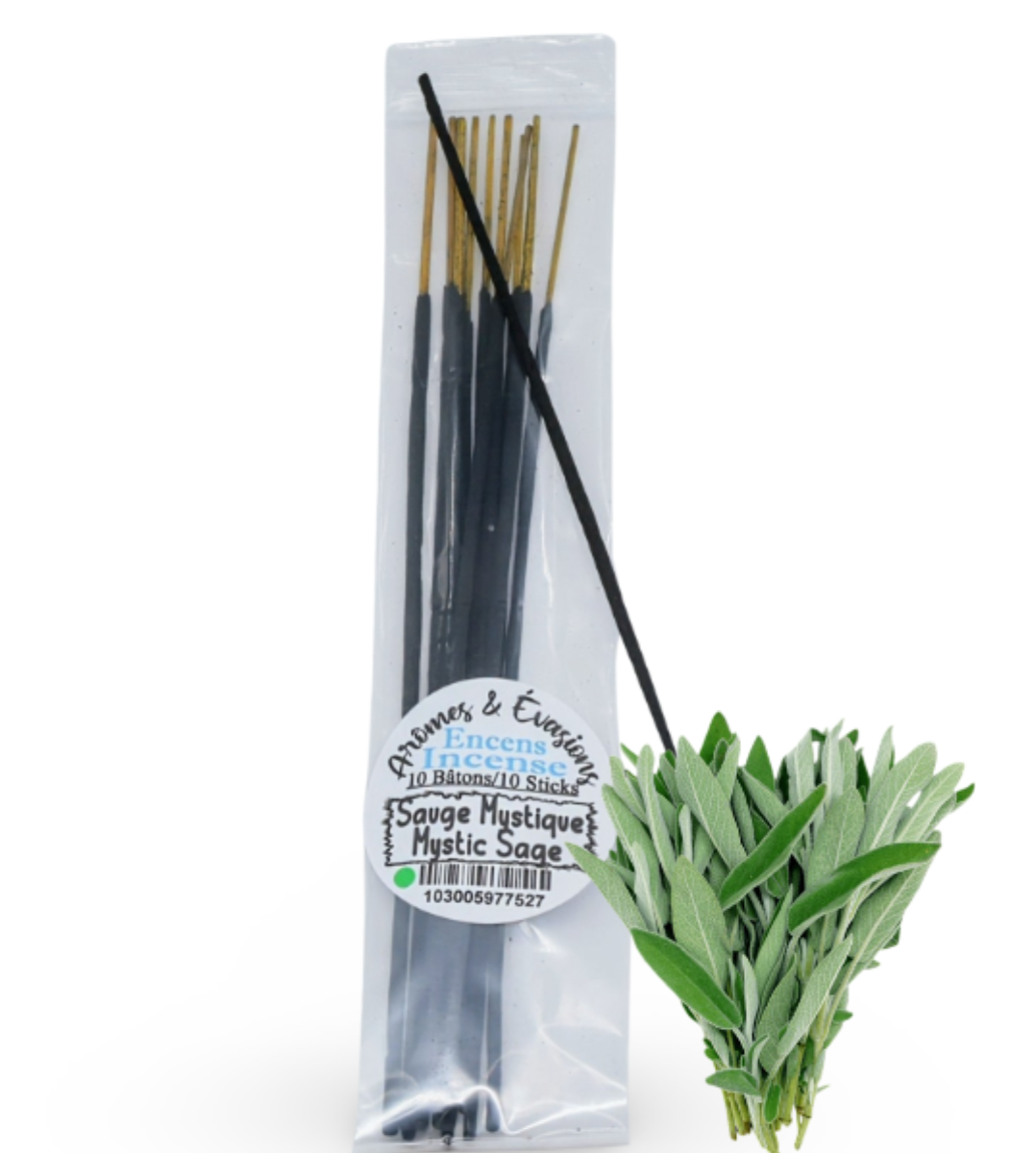 Incense Sticks - Mystic Sage - Pack of 10