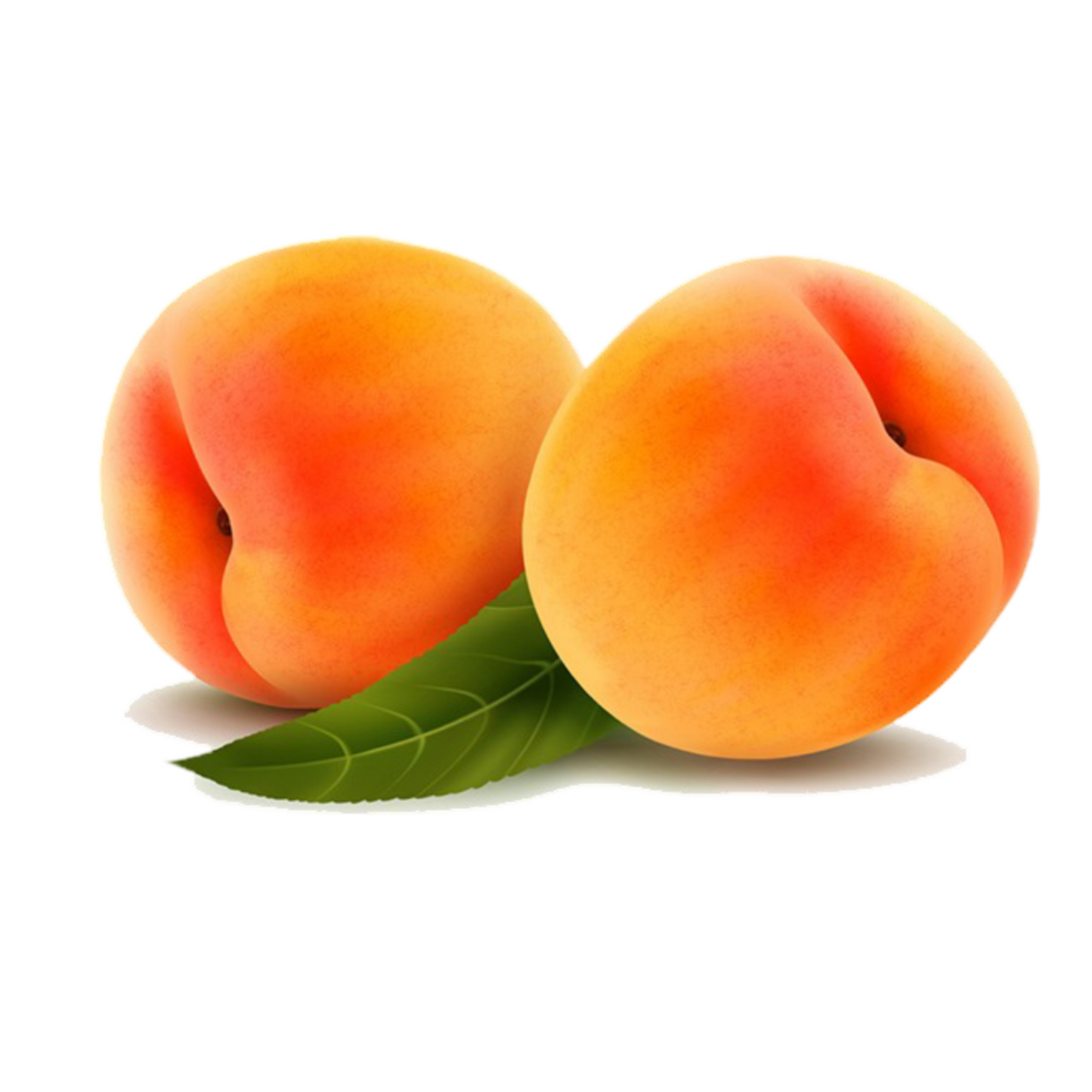 Fragrance Oil - Fresh Peachs