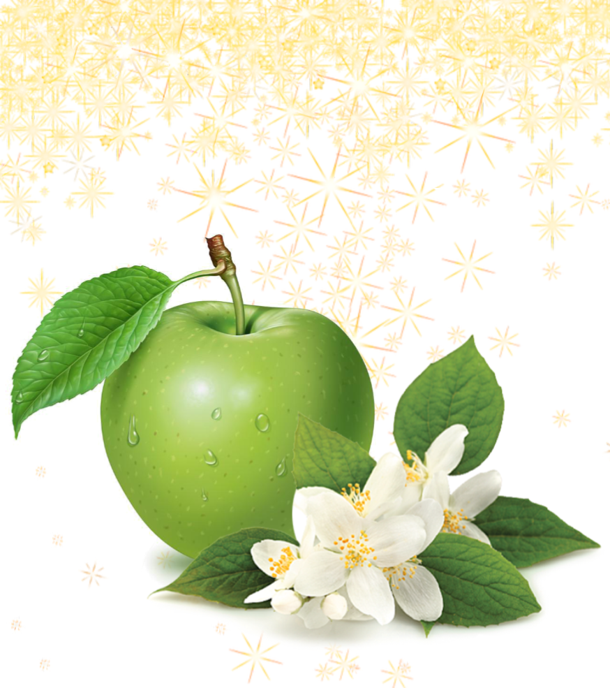 Fragrance Oil - Sparkling Clean